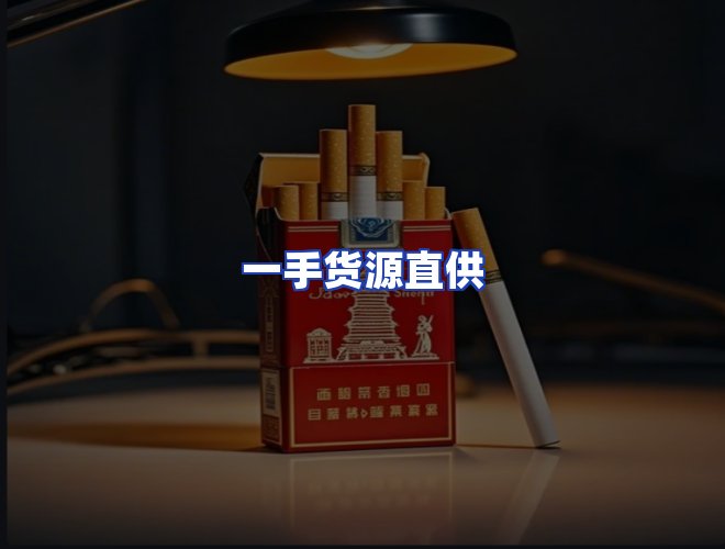 专业团队